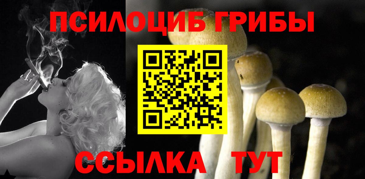 Псилоцибиновые грибы Magic Shrooms  Псилоцибиновые грибы MAGIC MUSHROOMS  Бийск  Вход с VPN 